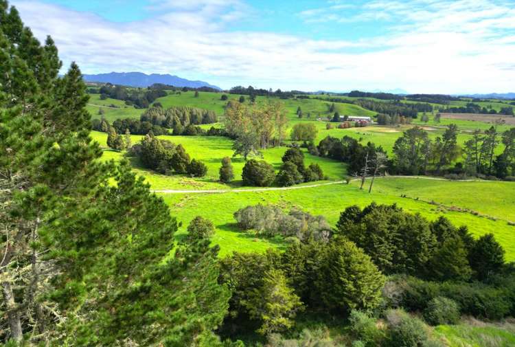 334 Otaua Road Taheke_9