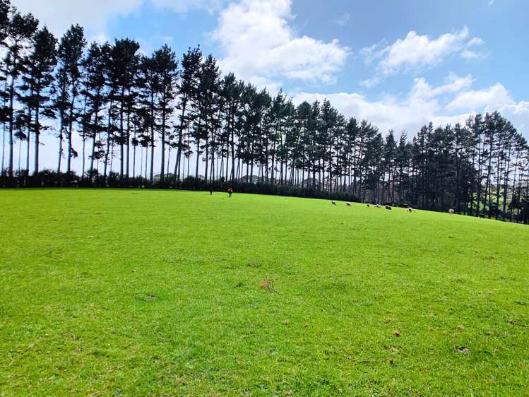 283 Trig Road Tuakau_7