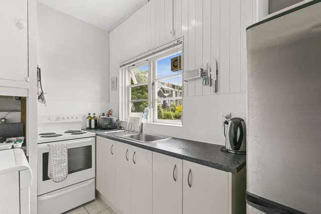 7/4 Oak Park Avenue Te Aro_2