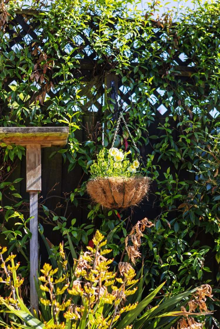 35b Holly Road Saint Albans_26