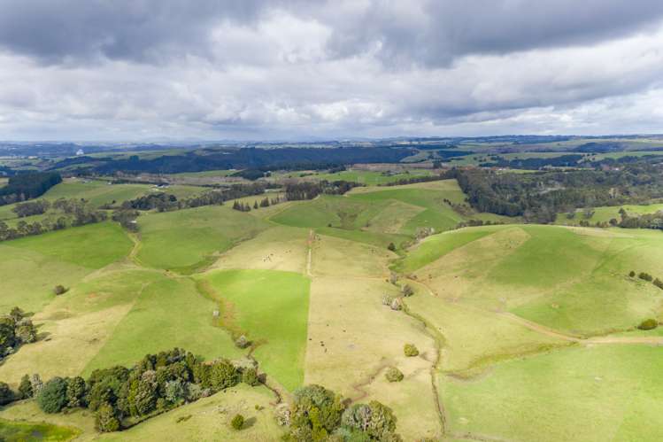 460 Pungaere Road Kerikeri Surrounds_15