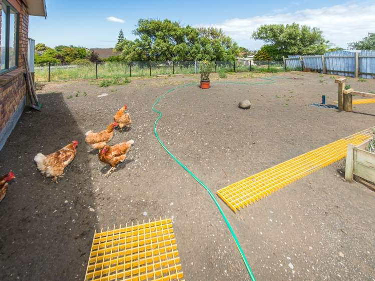 25 Tawhero Street Gonville_15