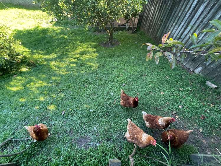 11 Tutea Place Paengaroa_16