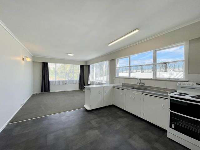 4 Beaconsfield Street Grey Lynn_3