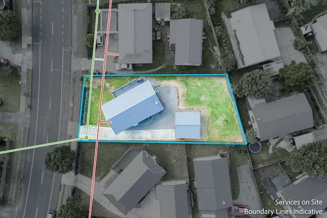 174 Finlayson Avenue Clendon Park_1