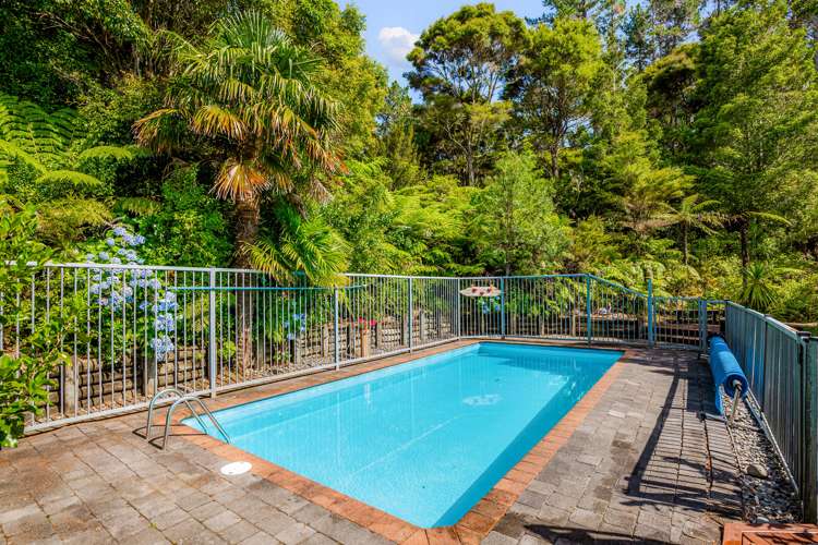85 Haigh Access Road Redvale_9