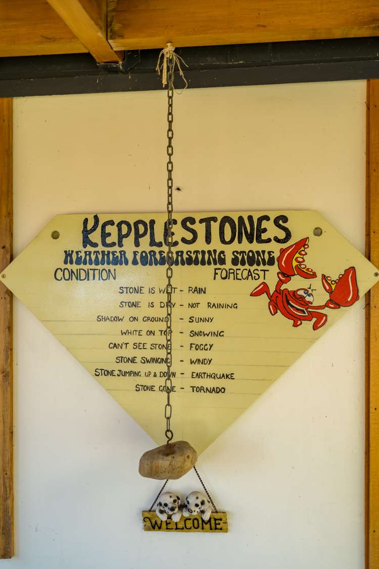 9 Surat Bay Road South Otago Coastal_19