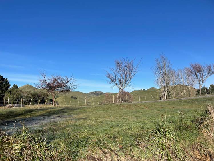 16 Islington Street Raetihi_5