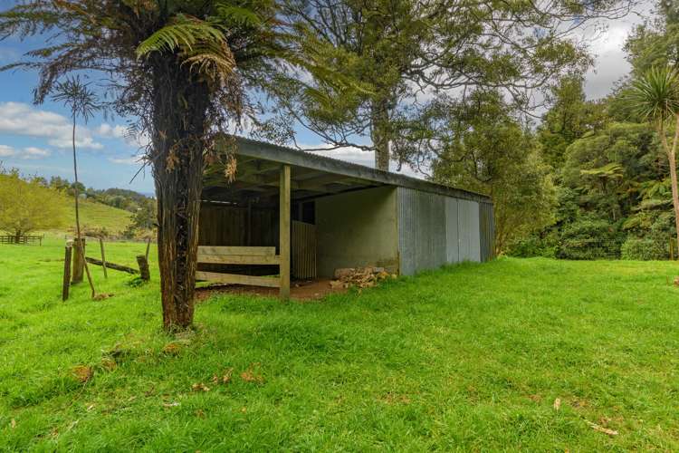 698d Whakamarama Road Whakamarama_21