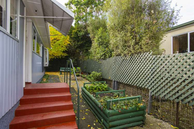 38 Oak Street Mangapapa_22