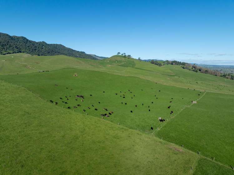 134 Old Te Aroha Road Te Poi_19