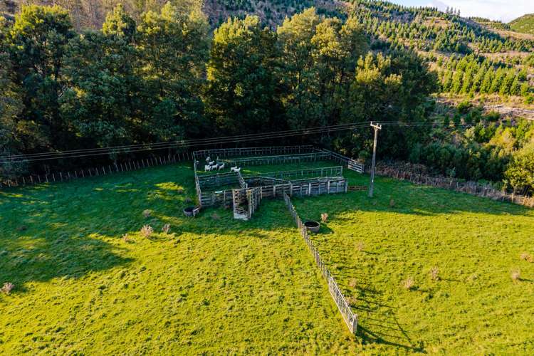 253 Waipuru Road Ohingaiti_18