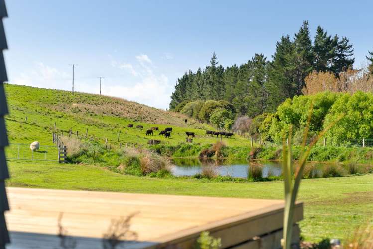 220 Ruakokoputuna Road Martinborough_18