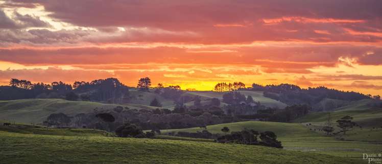 259 Mairetahi Road South Head_59