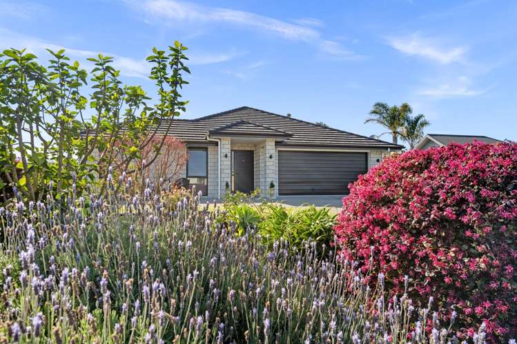 13 Mamaku Drive One Tree Point_15