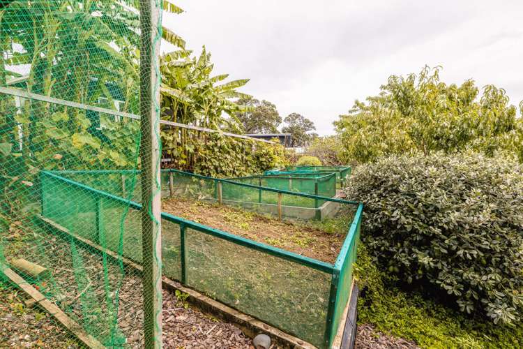 64 Wharf Road Ostend_26