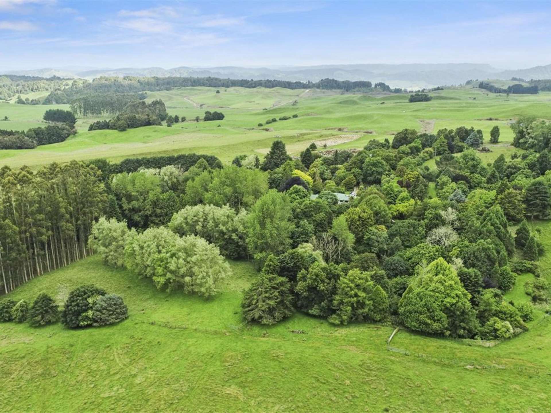 488 Tapuwae Road Benneydale_0