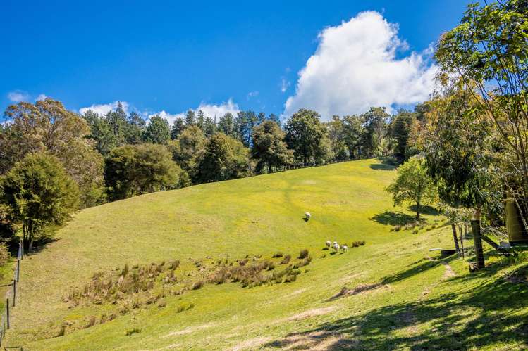 232 Umukuri Road Motueka_21