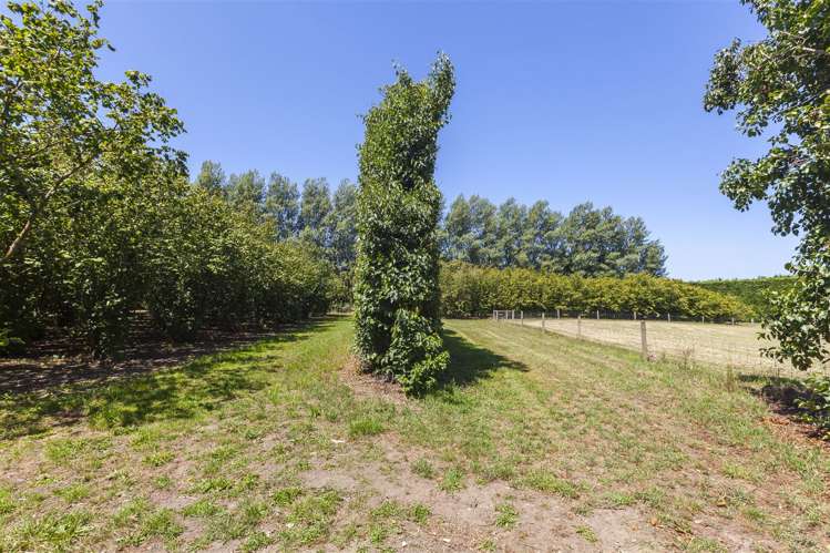 570 South Eyre Road Swannanoa_28