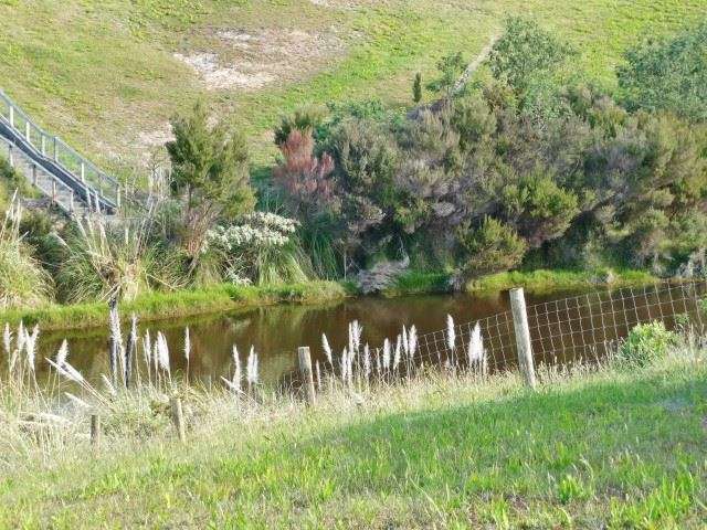 34 Akeake Crescent Karikari Peninsula_4