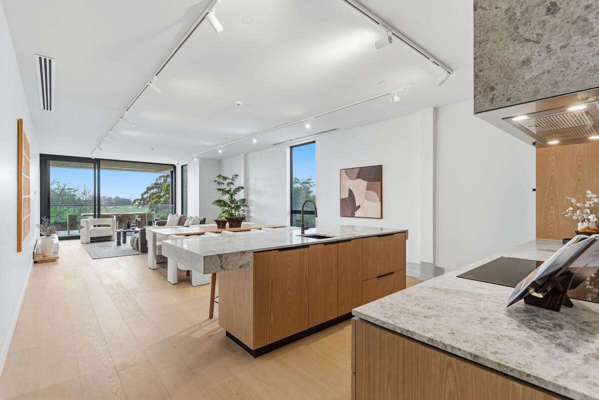 81 Carlton Gore Road_1