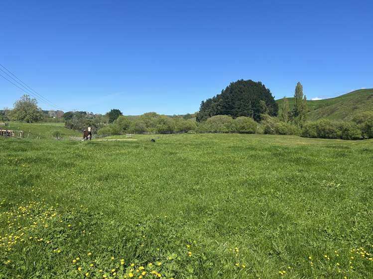 51 Kiwi Road Pirongia_10