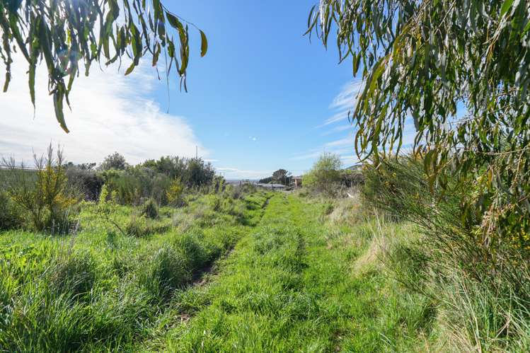 65 Suir Street Bluff_19