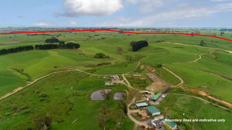 44 Black Road Te Kauwhata_2