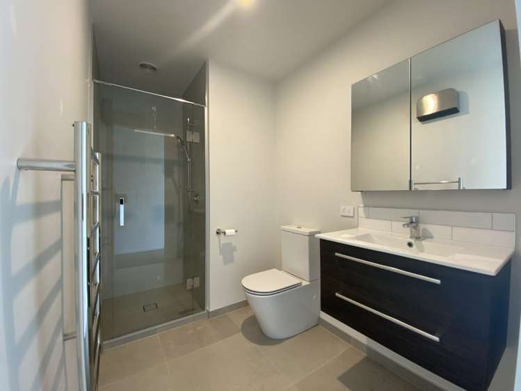 1/94 Cobham Street Spreydon_7