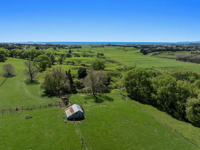 14,92,102 Dickinson Road Waiotahe_4