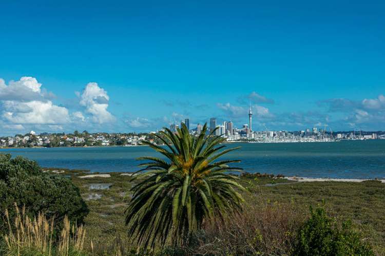 36a Walter Street Hauraki_10