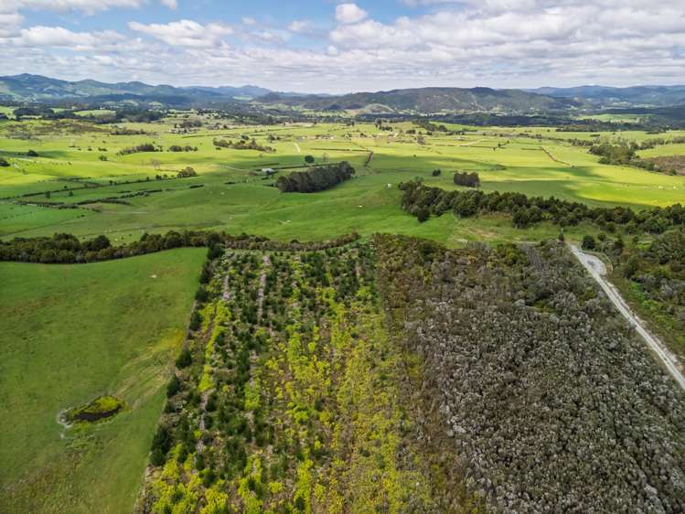 4580 State Highway 12 Kaikohe_12