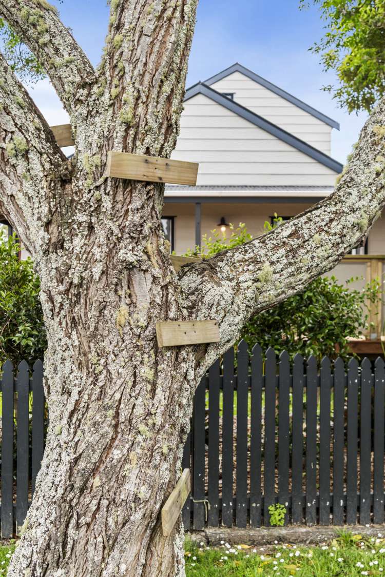 46 Redlands Grove Swanson_31