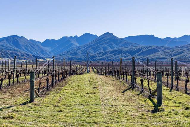 2486 State Highway 63 Wairau Valley_1