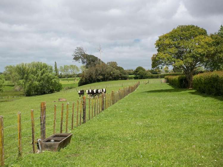 8 Laxon Road Whatawhata_6