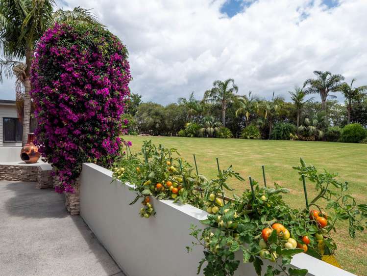 11 Cochrane Drive Kerikeri_21