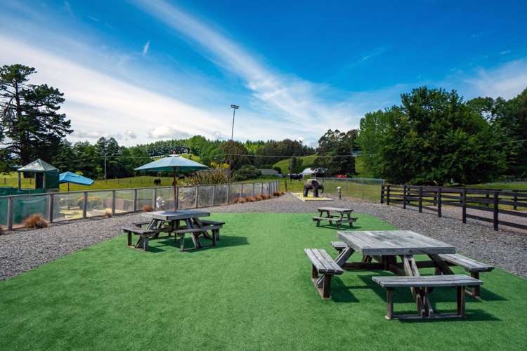 8 Palmer Mill Road Wairakei_14