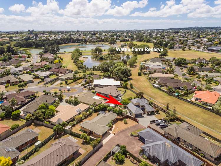 13 Lothian Brae Wattle Downs_23