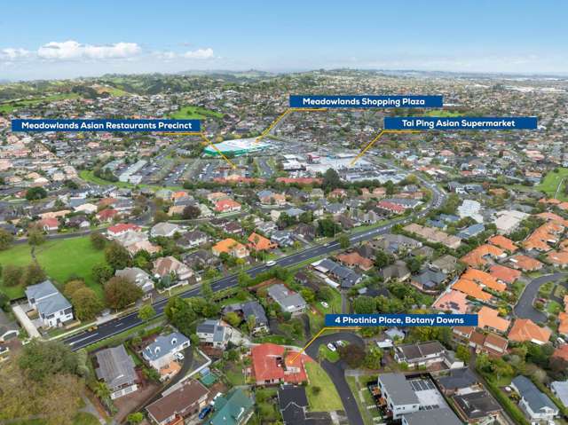 4 Photinia Place Botany Downs_2