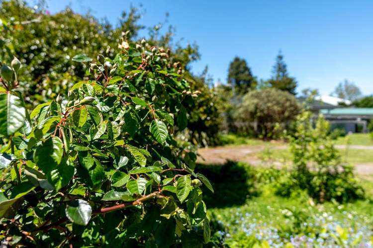 15A Kent Street Carterton_7