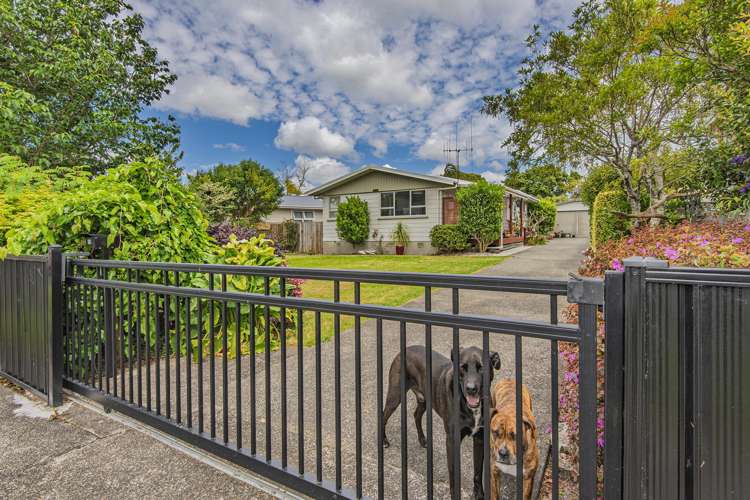 16 Beazley Crescent Tikipunga_28