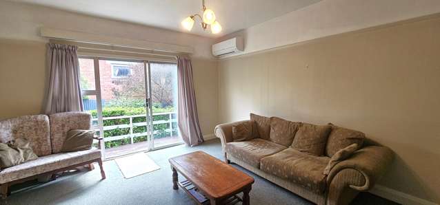 3/36 Virtue Avenue Maori Hill_2