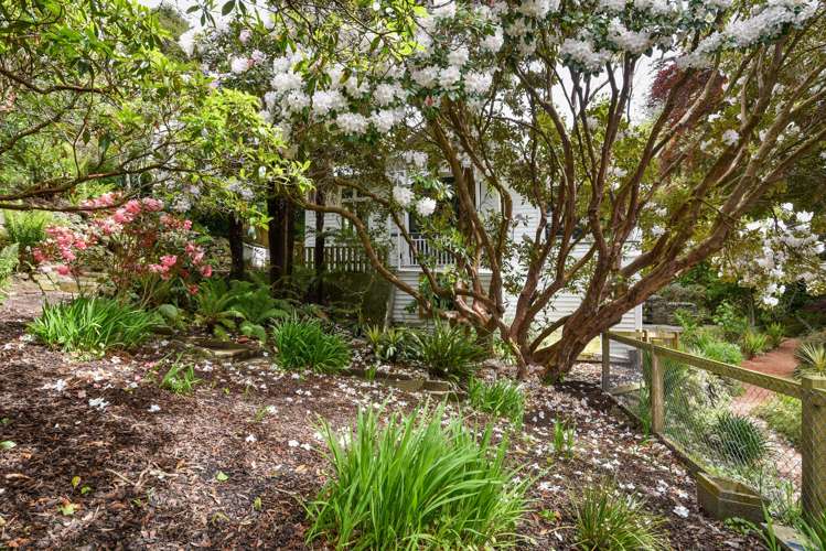 24 Braeview Crescent Maori Hill_24