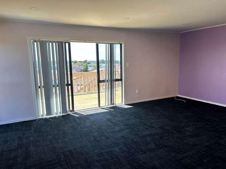 Matthews Road Flat Bush_9