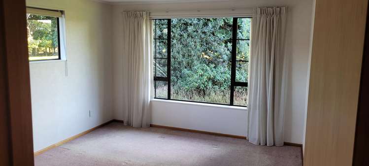 67 Roslyn Road Roslyn Bush_8
