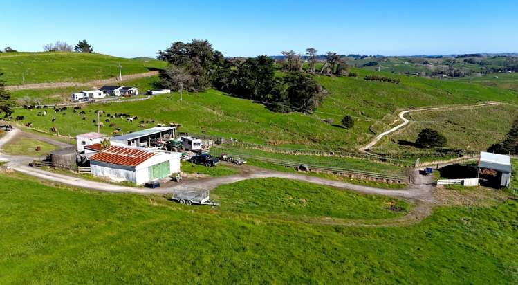 115 Biddle Road Wellsford_20