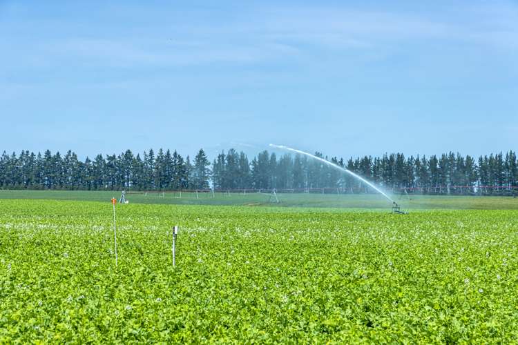 337 Reynolds Road Methven_12