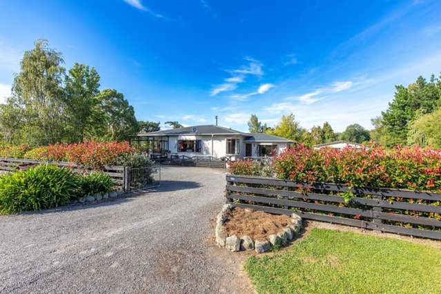55 Princess Street Dannevirke_3