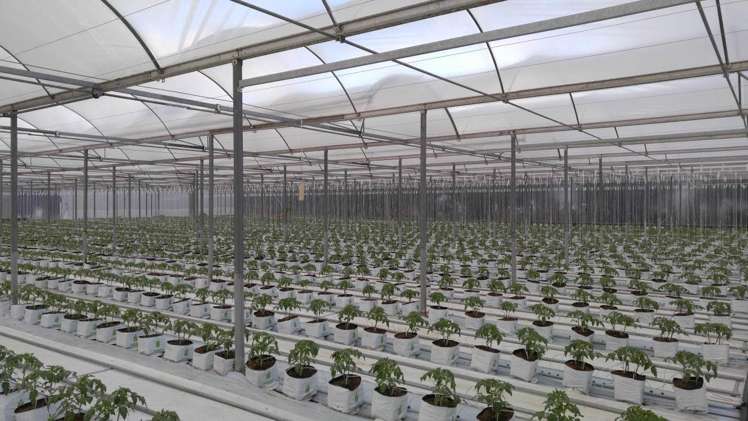 507b Harrisville Road Buckland_5