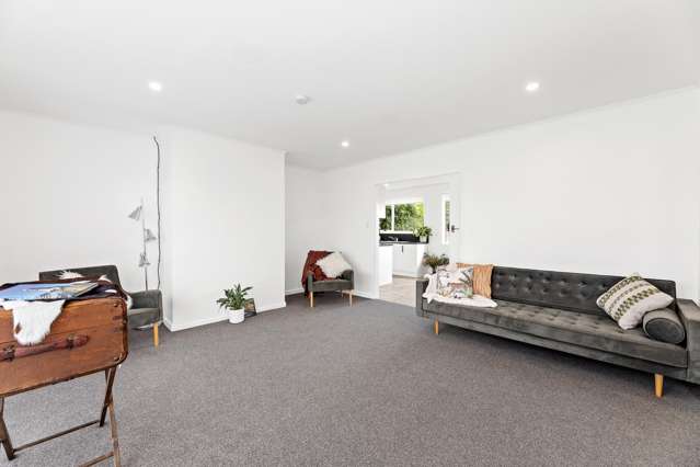 25 Graham Street Blenheim_4